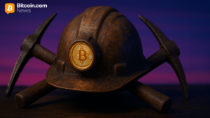 Bitcoin Hashring Peak Activity Problem At Last
