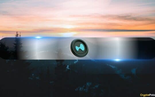 Bulls And Bears Fight For Control On The Hypothalamus