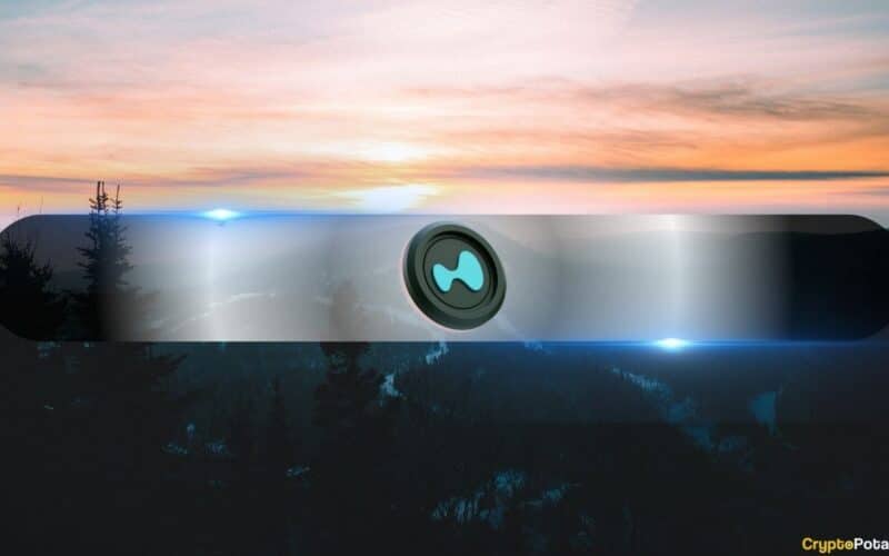 Bulls And Bears Fight For Control On The Hypothalamus