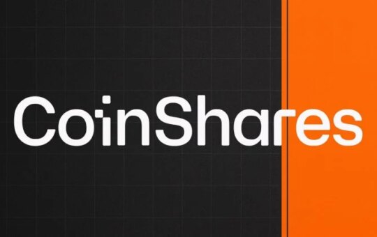 Coinsashars To Find A Resource Management Of Importance To Expand Your Cleopo Investment Layer
