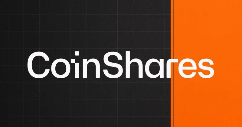 Coinsashars To Find A Resource Management Of Importance To Expand Your Cleopo Investment Layer