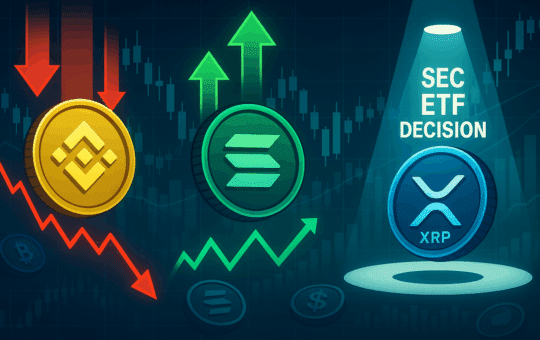 Crypto Wrap: Bnb Dods 10% As Sol Exams $ 200. The Xrp Etfs Updates