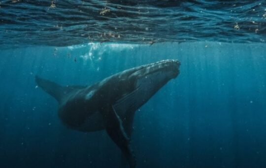 High Performance Sees $21.4 Million At $21.4 Million