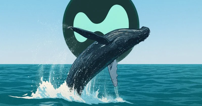 Hyperunit Closes Well Dollar $86.6M Bitcoin Short For $2.38M Profit 1 Hyperunit Closes Well Dollar $86.6M Bitcoin Short For $2.38M Profit