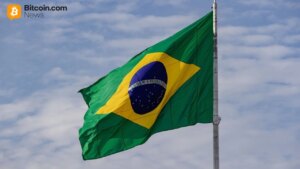 Lamam'S Insight In The Courtyard: Brazil Contains Microptops Even When The Government Is Not The Government Of Brazil