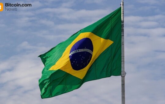 Lamam'S Insight In The Courtyard: Brazil Contains Microptops Even When The Government Is Not The Government Of Brazil