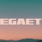 Megathad Peopley ICO Reported Setup System on the child’s child