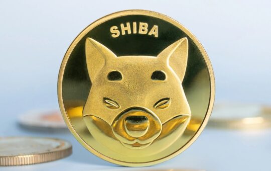 Shiba Inu Forecast As Bulls Eye Breakout After Deep Accumulation