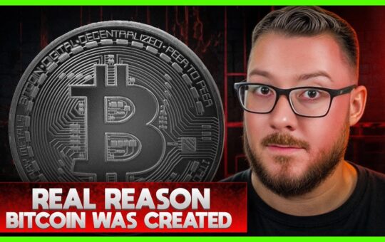 The Real Reason Bitcoin Was Created And Its Not What
