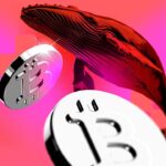 The whale that calls out the crash again opposes the butterfly