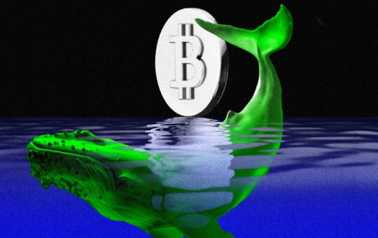 Crypto Whale Long Position On Bitcoin And Ethereum.