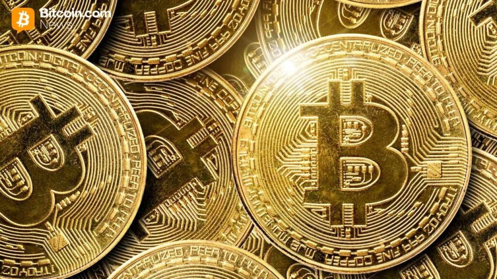 Xenamax Dares With Bold Bitcoin And Trump Calling Strategy
