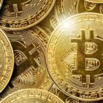 Xenamax dares with bold bitcoin and trump calling strategy