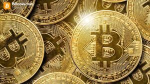 Xenamax Dares With Bold Bitcoin And Trump Calling Strategy