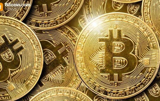 Xenamax Dares With Bold Bitcoin And Trump Calling Strategy
