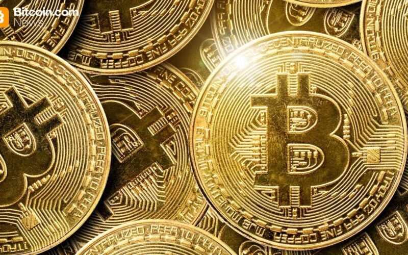 Xenamax Dares With Bold Bitcoin And Trump Calling Strategy