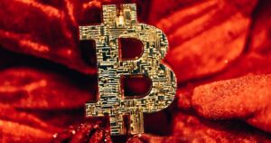 Arthur Hayes Bibicon 80 Km.