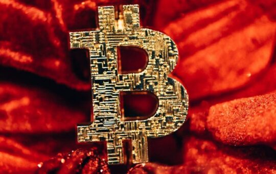 Arthur Hayes Bibicon 80 Km.