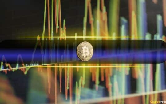 At $80 Per Kg. The Bottom Of The Bicon? Whale Movement Indicates More Pain