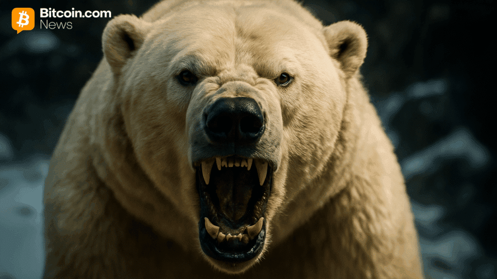 Bitcoin Price Doubles: Bitcoin Pods Stuck Butsebook But Bears Are Not Blinking
