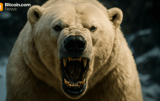 Bitcoin Price Doubles: Bitcoin Pods Stuck Butsebook But Bears Are Not Blinking