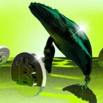 Bitcoin whales are moving again, what are they seeing that we don’t?