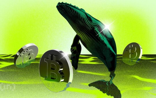 Bitcoin Whales Are Moving Again, What Are They Seeing That We Don'T?