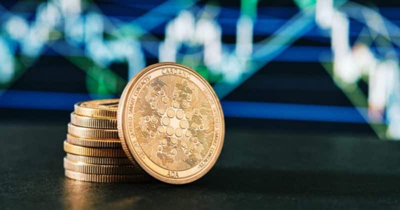 Cardano Wallet After 5 Years Compared To 6 Years After 6 Million Dollars - It'S In Usaddapap