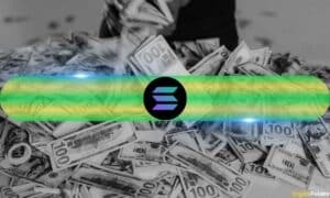 Crypto Currency Has Been Filled After The Shock Of Liquidation