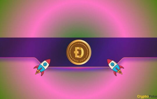 Dogcoin (Dogous) Instantiation As Bulls Target Llama 0.21 Zone