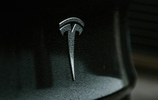 Enel Stakes After Elon Stake