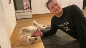 Golden Retriever Dima Loves Belly Rubbies Ivan On Tech