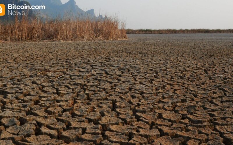 Mike Magillo'S Scattered Land Forecast - $56K Bitcoin On The Horizon