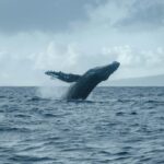 New Well Wallet with $7 million in $7 million in $BTC., $Xrp short positions