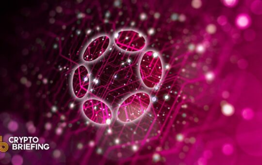 The Phokadoot Ecosystem Goes A Long Way With The Launch Of Xcm