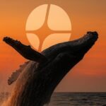 Well from $ 500 k.c. U.S. D. B. D. D. C. It opens 3x longer in ATPLOLLIDIDADATIDADS