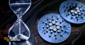 Vasil Hardakks Due To Cardin Waiting Bugs