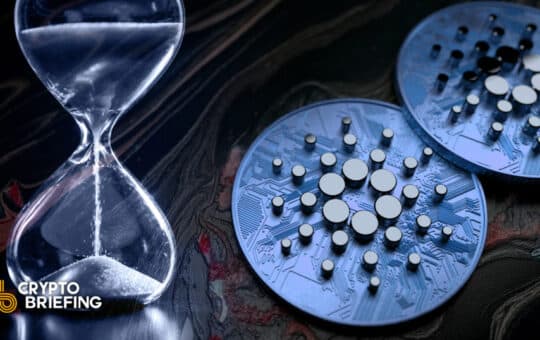 Vasil Hardakks Due To Cardin Waiting Bugs