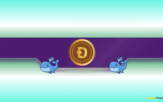 480,000,000 Pumpkins Will Be Crushed In 48 Hours - What'S Next?