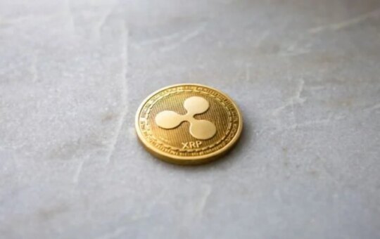 As Xrp Struggles, Ripple-Backed Evernorth Faces A $220M Discount.