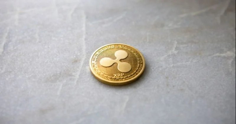 As Xrp Struggles, Ripple-Backed Evernorth Faces A $220M Discount.