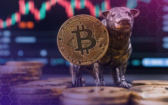 Bitcoin May Enter Decade-Long Bull Run After 2025 Bear Market: Samson Mow