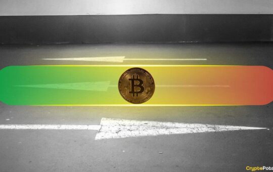 Bitcoin According To Analysts  They Play At The Support Level