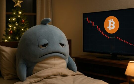 Bitcoin After About Ten Years When You Get About 700 Coins