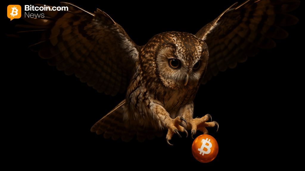 Bitcoin'S 'After Dark' After The End Of Nicholas' Wealthless Night-Only Strategy