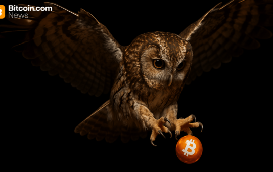 Bitcoin'S 'After Dark' After The End Of Nicholas' Wealthless Night-Only Strategy