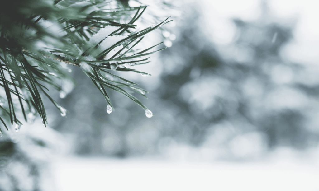 Crypto Trading Activity Has Hit A Yearly Low As The Holiday Bubble Dampens Markets