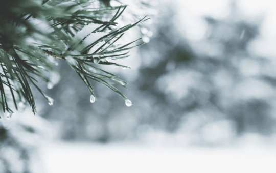 Crypto Trading Activity Has Hit A Yearly Low As The Holiday Bubble Dampens Markets