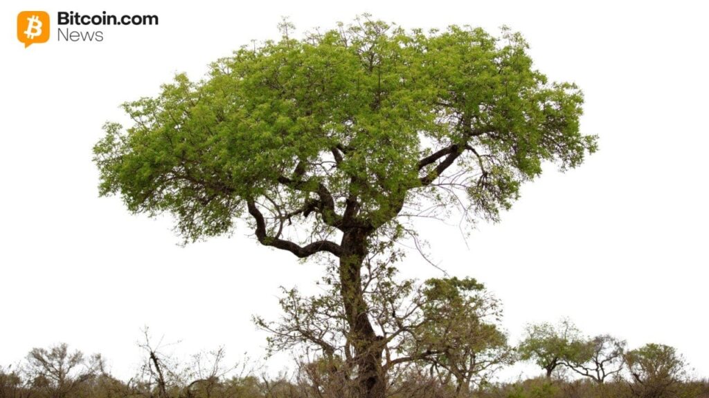 Digital Asset Solutions Company Completes Australia'S First Preferred Government Design Investment