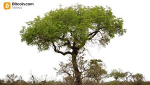 Digital Asset Solutions Company Completes Australia'S First Preferred Government Design Investment